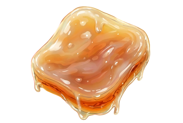 Kombucha SCOBY